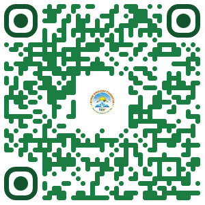 UPI QR Code